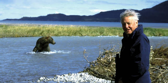 4:00 PM: The Life of Mammals (S1 E6) (S1) | Yesterday | 12/14 2025