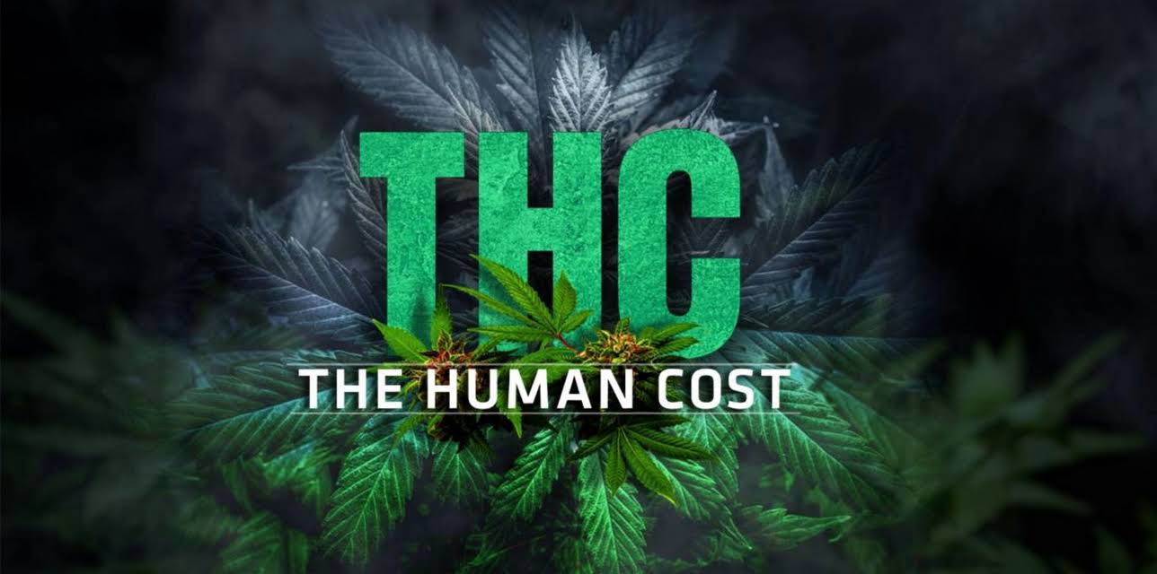 THC: The Human Cost