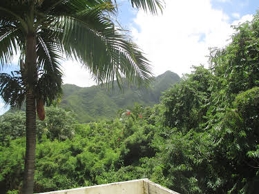 07:15: Hawaii Life (S9 E12) (S9) | Kanal 11 | 4/4 2026