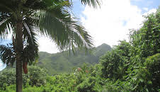 Hawaii Life (S8 E10)