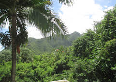 Hawaii Life