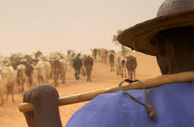 Wildest Africa: Sahara Life on the Edge