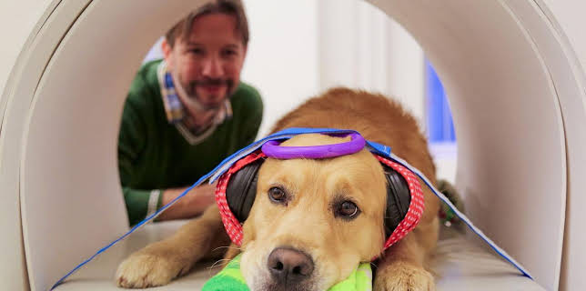 07:58: Können Hunde sprechen? | Arte | 11/23 2025