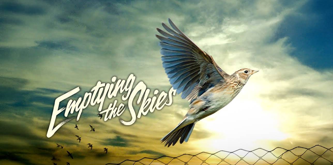 Emptying the Skies (2015)