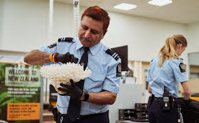 Border Patrol New Zealand