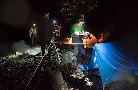 Extinct Or Alive: Formosan Clouded Leopard