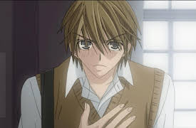 Junjo Romantica - S01: Young Men, Be Bold