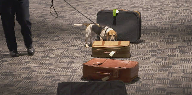 23:20: Border Patrol USA - Einsatz an der Grenze | ProSieben Maxx | 12/7 2025