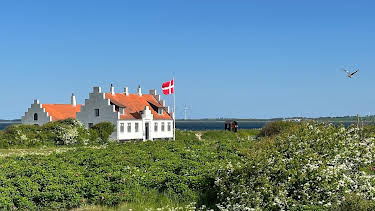 17:15: Nordseereport - Dänen-Glück am Limfjord | NDR Fernsehen | 9/5 2026