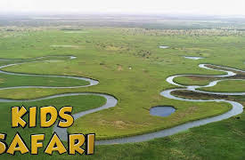 Kids Safari: Explore Zambia