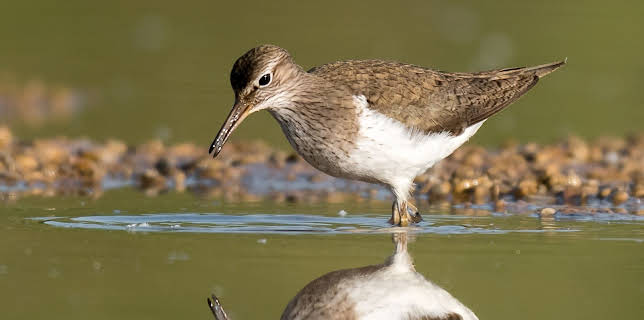 14:05: An den Ufern der Ammer | 3SAT | 11/18 2025