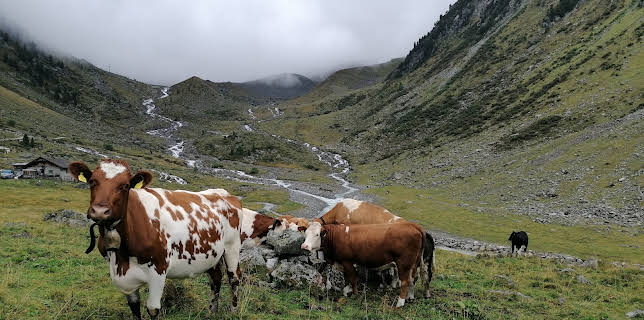 14:45: Auf uralten Pfaden - Viehtriebe im Hochgebirge | 3SAT | 11/18 2025