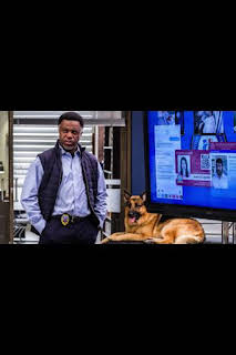 11:02: Hudson y Rex (T4): Ep.4 Líder de la manada | AXN | 3/28 2026