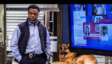 Hudson y Rex (T4): Ep.4 Líder de la manada