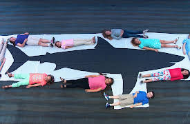 Splash and Bubbles: Get Your Feet Wet, Season 1: Little Sharks