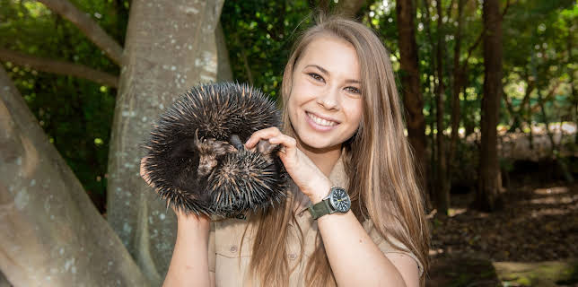 06:00: Crikey! It's the Irwins (S3 E5) (S3) | Animal Planet | 11/19 2025