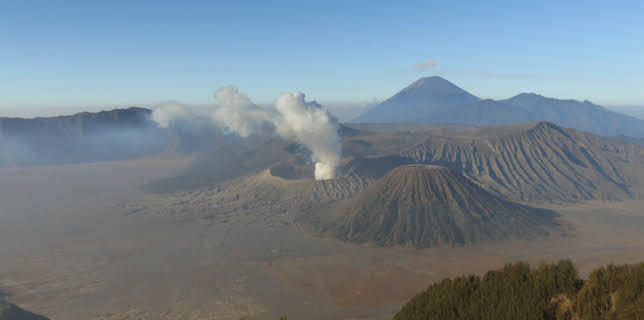 13:50: Traumorte - Java | 3SAT | 1/16 2026