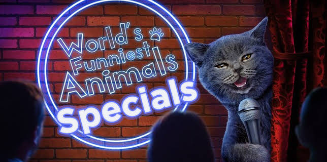 World's Funniest Animals Specials