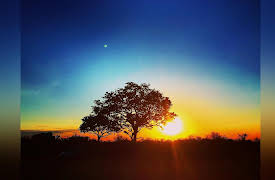 Keeping Up with the Kruger: An Ancient Bird