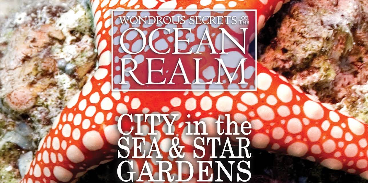 Wondrous Secrets of the Ocean Realm: City in the Sea & Star Gardens (2006)