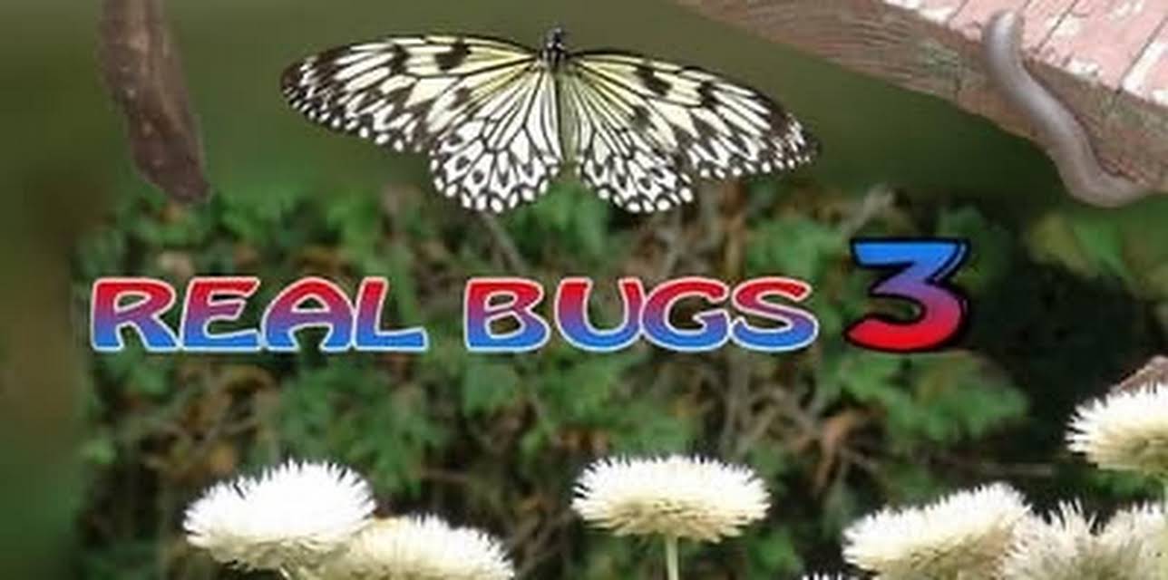 Real Bugs 3 (2022)