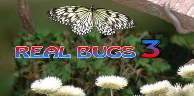 Real Bugs 3 (2022)