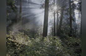 Ultimate Ninja Challenge Season 1: Drop Zone