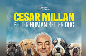 Cesar Millan: Better Human Better Dog Season 1: Blind Faith