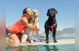 Petchannel Brasil: Cecilia And Her Labradors