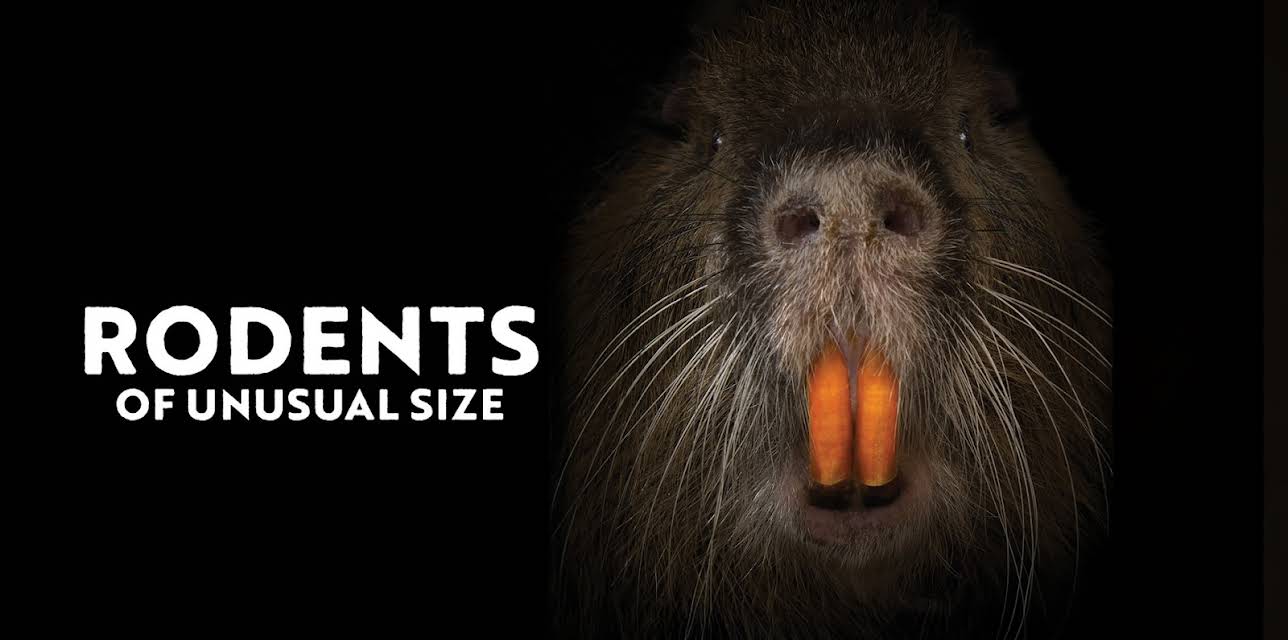 Rodents of Unusual Size (2017)