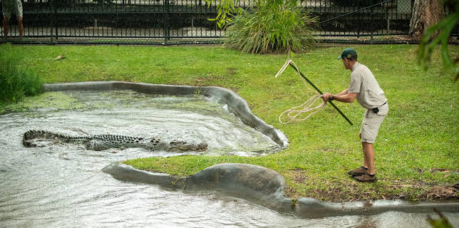 17:00: Crikey! It's the Irwins (S3 E7) (S3) | Animal Planet | 11/21 2025