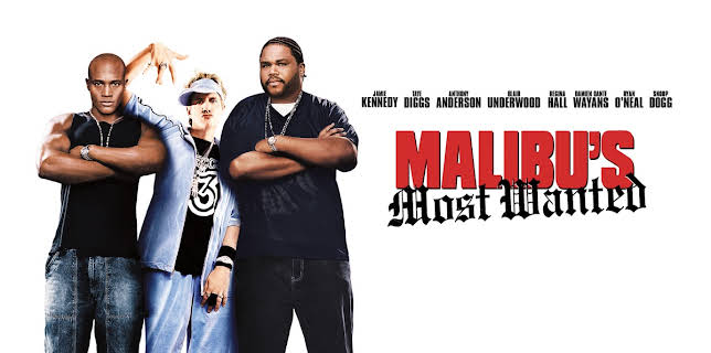 Malibu's Most Wanted (2003)