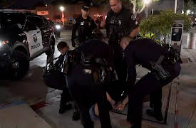 On Patrol: Live - Shorts season-1: Intruders Learn Why Breaking In Always Ends Badly