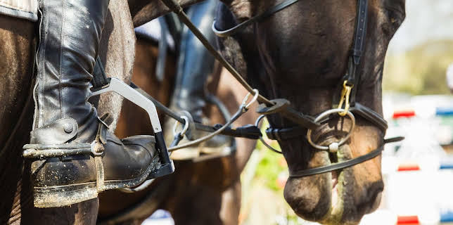 16:30: Hípica: Global Champions Tour (T2025): París | Eurosport 1 | 6/25 2025