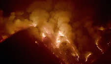 Asche und Wiedergeburt, in Spaniens Wäldern