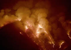 Asche und Wiedergeburt, in Spaniens Wäldern