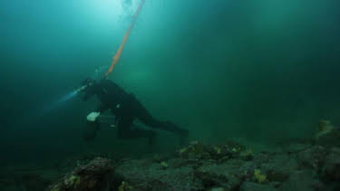 4:00 AM: Gold Divers (S6) | Discovery Channel | 8/28 2026