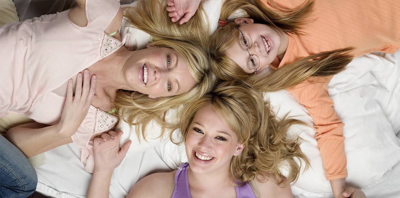 The Perfect Man (2005)