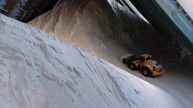 08:00: Geo-Tour | ARD Alpha | 3/26 2026