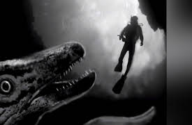 Lost Tapes Season 1: Oklahoma Octopus