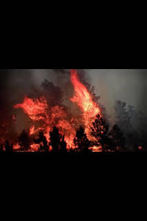 09:35: Desastre climático: Infierno | National Geographic | 4/1 2026