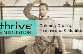 Thrive: Self-Healing with Ayurveda: Meditation: Calming Cooling Pranayama & Meditation