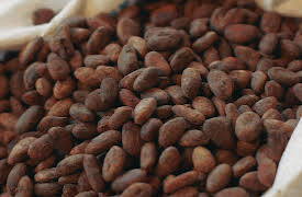 A World of Calm, Season 1: The Gift of Chocolate -- Narrated by Priyanka Chopra Jonas