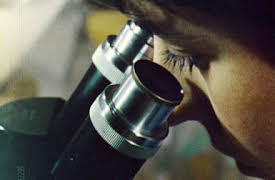 Explained: Designer DNA