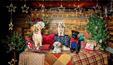 The Dog House at Christmas