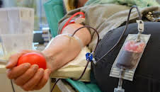 Die Nordreportage: Lebensspender und Lebensretter