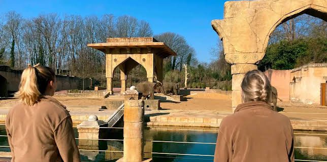 17:10: Seelöwe & Co. - tierisch beliebt | NDR Fernsehen | 1/9 2026