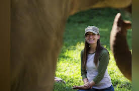 Dodo Heroes Season 1: Katherine's Elephant Eden