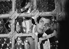 Die Schatzinsel (1/4)