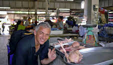 unterwegs - Inselwelt Thailand